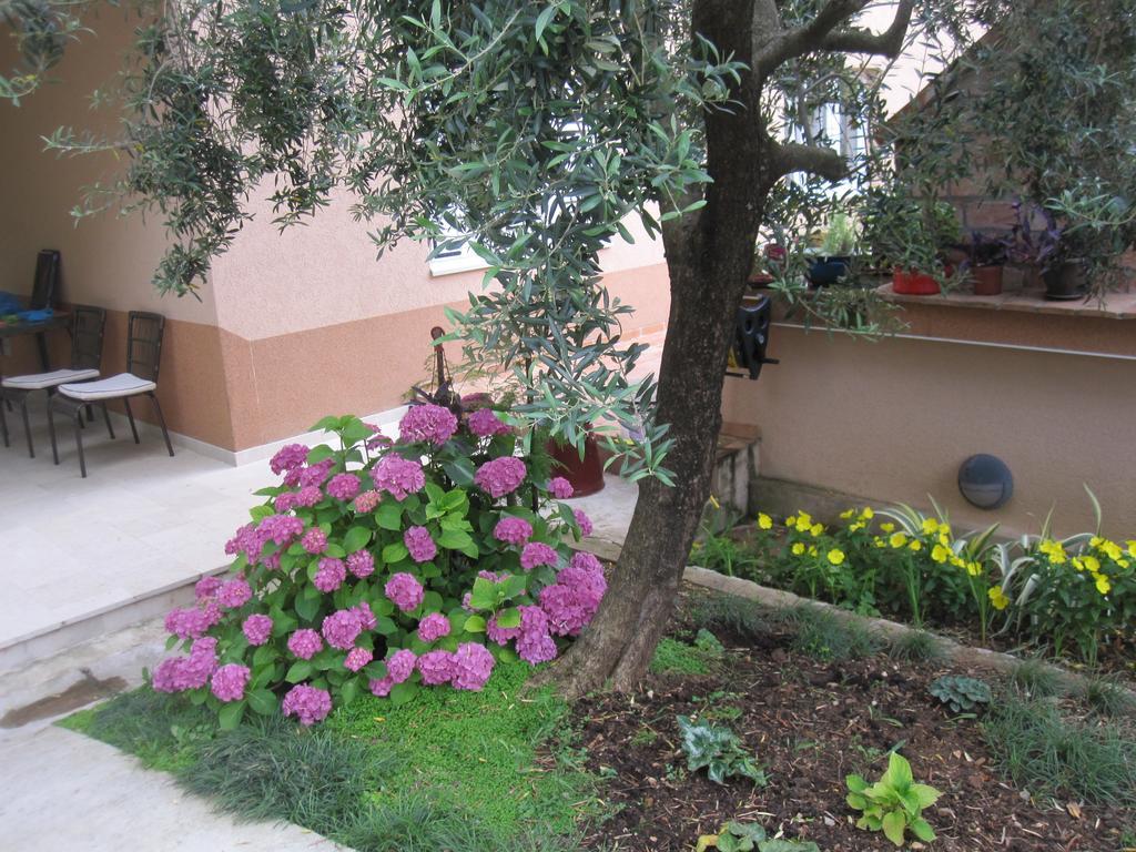 Apartments City Center Τίβατ Εξωτερικό φωτογραφία