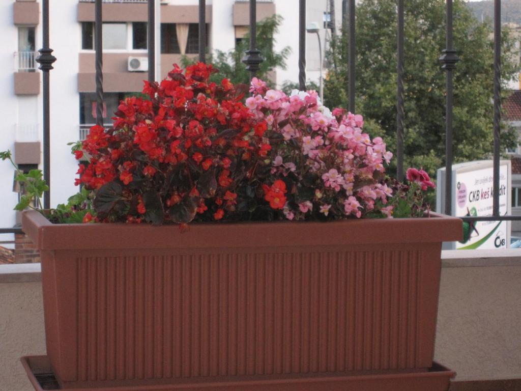 Apartments City Center Τίβατ Εξωτερικό φωτογραφία