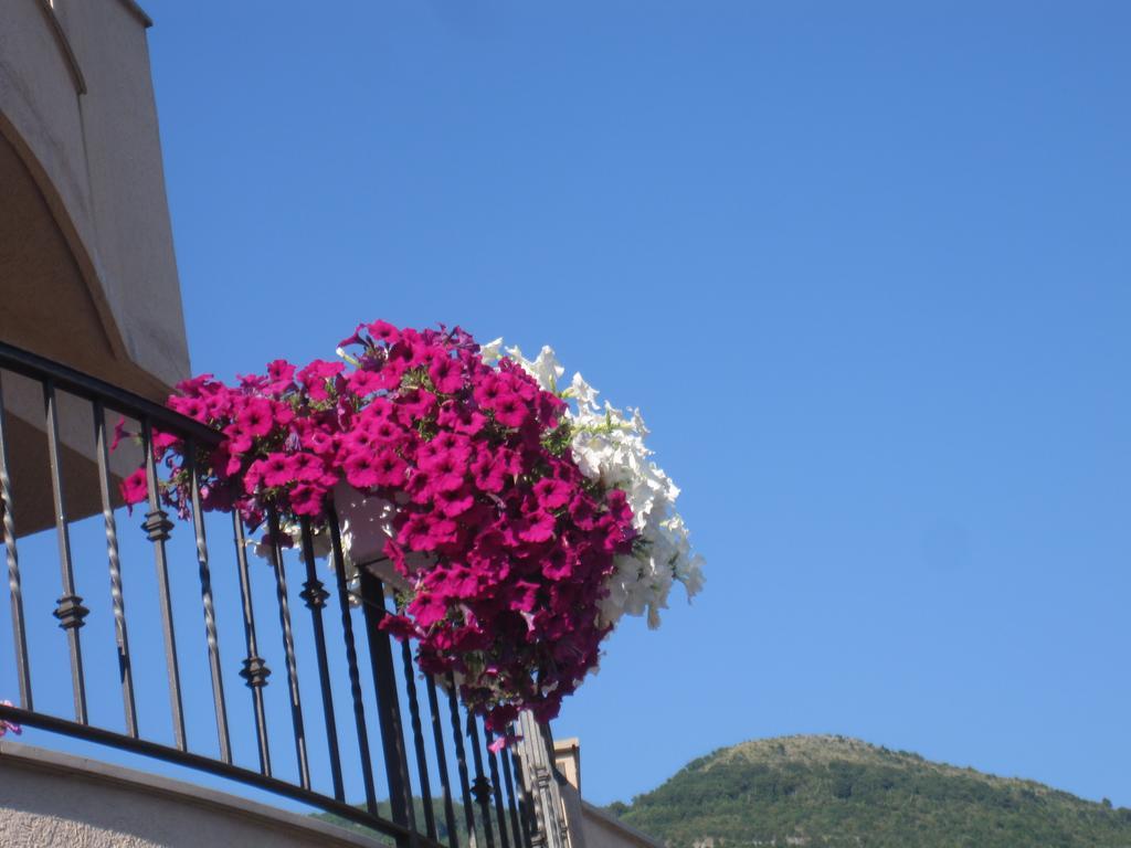 Apartments City Center Τίβατ Εξωτερικό φωτογραφία